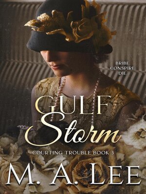 cover image of Gulf Storm--Courting Trouble 3